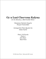 Oy u Luzi Chervona Kalyna P.O.D. cover